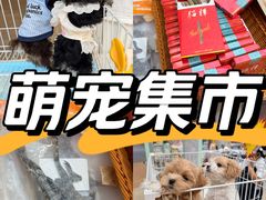 -上海长风大悦城