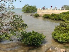 -宝安西湾红树林湿地公园