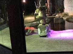 -清迈夜间动物园