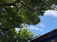 -张学良旧居陈列馆