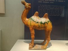 -镇江博物馆