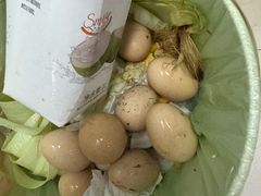 -菊园百果园