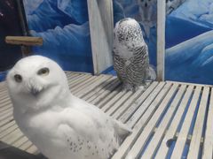 -成都浩海立方海洋公园