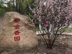 -黑龙江省森林植物园
