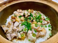 田鸡瑶柱饭-红星光发煲仔饭(文海店)