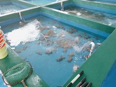 -阔澜蒸汽海鲜自助