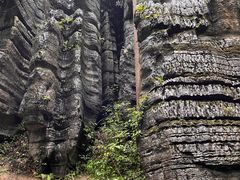 -梭布垭石林景区