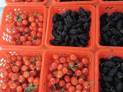 -桃源山庄·摘樱桃·柴火鸡·烧烤团建(龙泉山店)