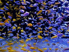 -成都浩海立方海洋公园