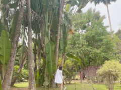 -中国科学院西双版纳热带植物园