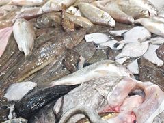 -和源祥·日照菜扛把子(万平口一店)