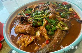 Fried Egg Stewed Yellow Softshell Turtle