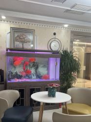 -安院长·产后恢复·徒手骨盆(先天下店)
