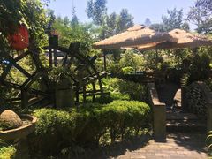 -青城甲(青城山店)