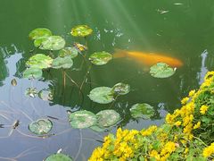 -杭州植物园