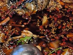 -味之绝热血美蛙鱼火锅(中坝店)