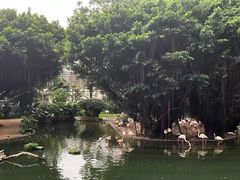 -九龙公园