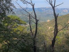 -大芦花风景区