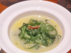 -觀芷隐轩