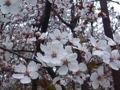 -江南大学(蠡湖校区)