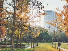 -上海财经大学(国定路校区)