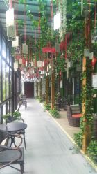 -保丽宝泰母婴护理院·月子中心·产康·中医(常州店)