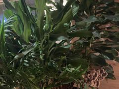 -春暖花开(西溪店)