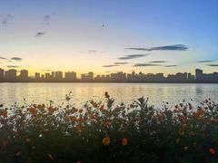 -艾溪湖湿地公园