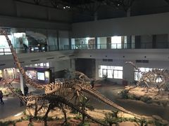 -自贡恐龙博物馆