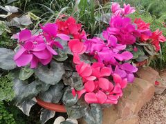 -昆明市金殿名胜区