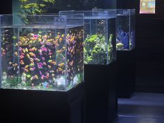 -锦艺城海洋馆