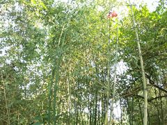 -竹泉村旅游度假区