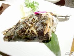 烤鲑鱼头-将太无二·北美传奇寿司(瑞士公寓店)