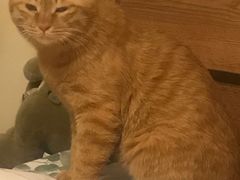 -达爱动物医院·犬猫分区·CT·复杂眼科(远洋山水分院)