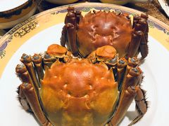 -王宝和酒家(黄浦店)