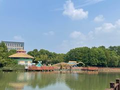 -自然谷恐龙园