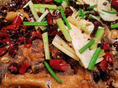 -老板恋上鱼(恒隆广场店)