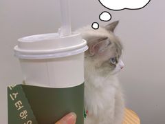 -怪兽屋·羊驼·猫咖·狗咖(俊华广场店)