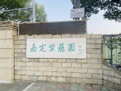 -嘉定紫藤园