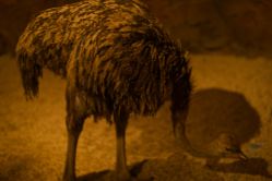 -长沙云顶星河游乐园(步步高·梅溪新天地店)