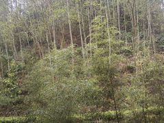 -腾冲云峰山