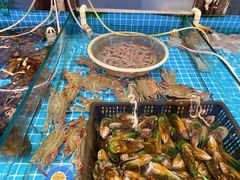 -渡海小渔村.老辈日照菜