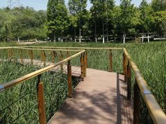 -太子山公园(园东路)