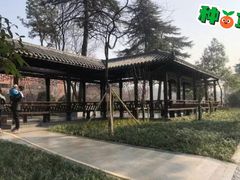 -紫金山山顶公园