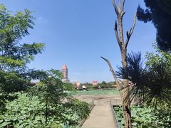 -日照海滨国家森林公园