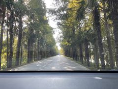 -上海海湾国家森林公园