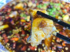 -新概念来凤鱼(璧山店)