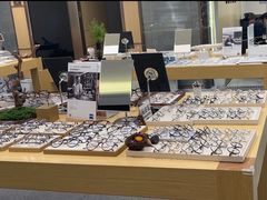 -Eziwish眼镜·蔡司授权店