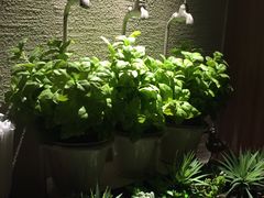 -星巴克臻选(宁波天一广场店)