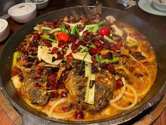 -老板恋上鱼(高新万达店)